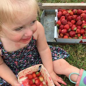 Meet your Posher, Matt